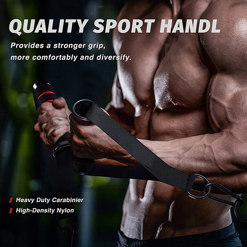 1Set D-Ring Metal Gym Handles  - D Ring Strap recension och pris